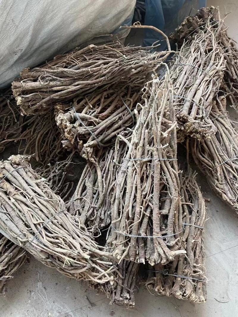纯野生的老黄芪最少5-6年以上的老黄芪纯野.生味大香功