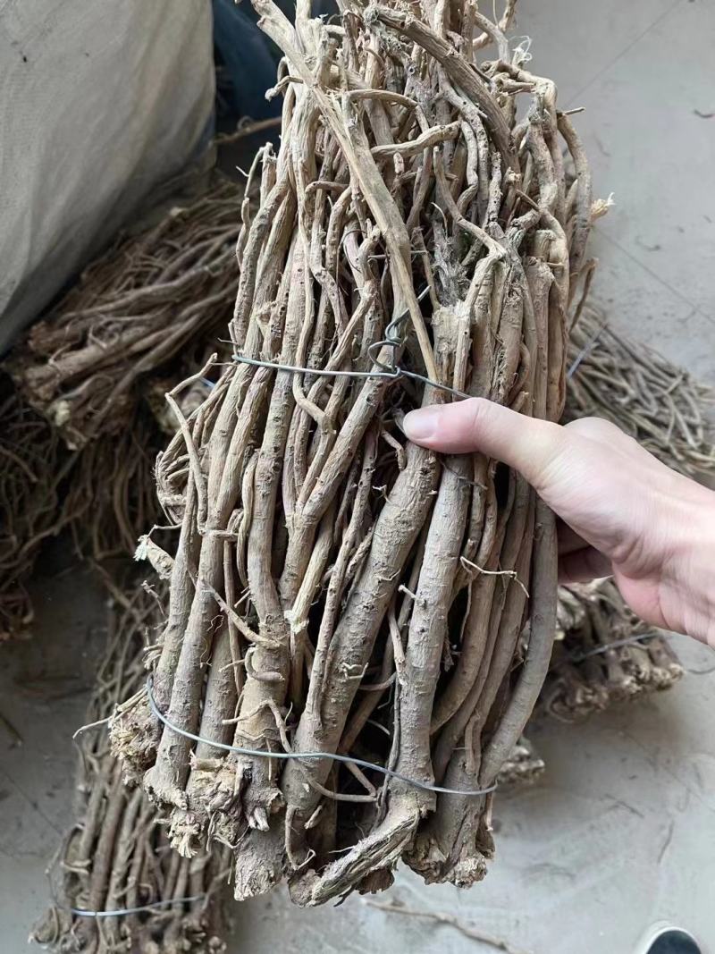 纯野生的老黄芪最少5-6年以上的老黄芪纯野.生味大香功