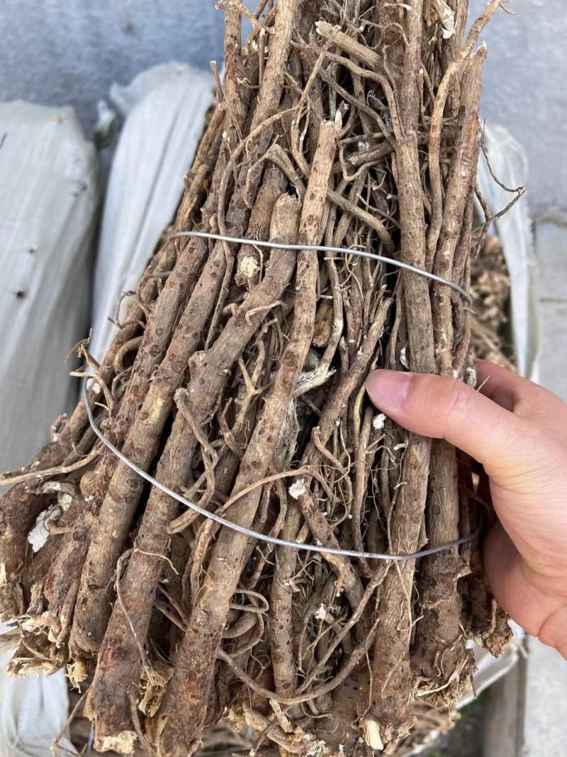 纯野生的老黄芪最少5-6年以上的老黄芪纯野.生味大香功
