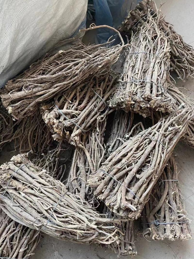 纯野生的老黄芪最少5-6年以上的老黄芪纯野.生味大香功