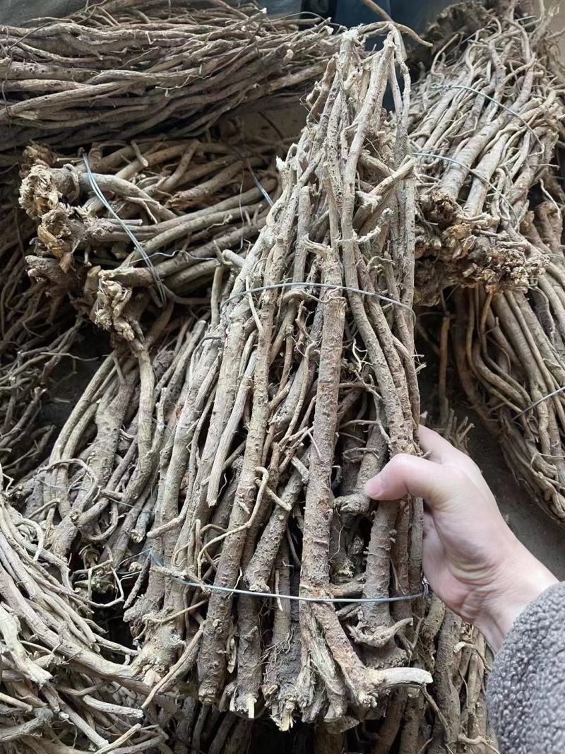 纯野生的老黄芪最少5-6年以上的老黄芪纯野.生味大香功