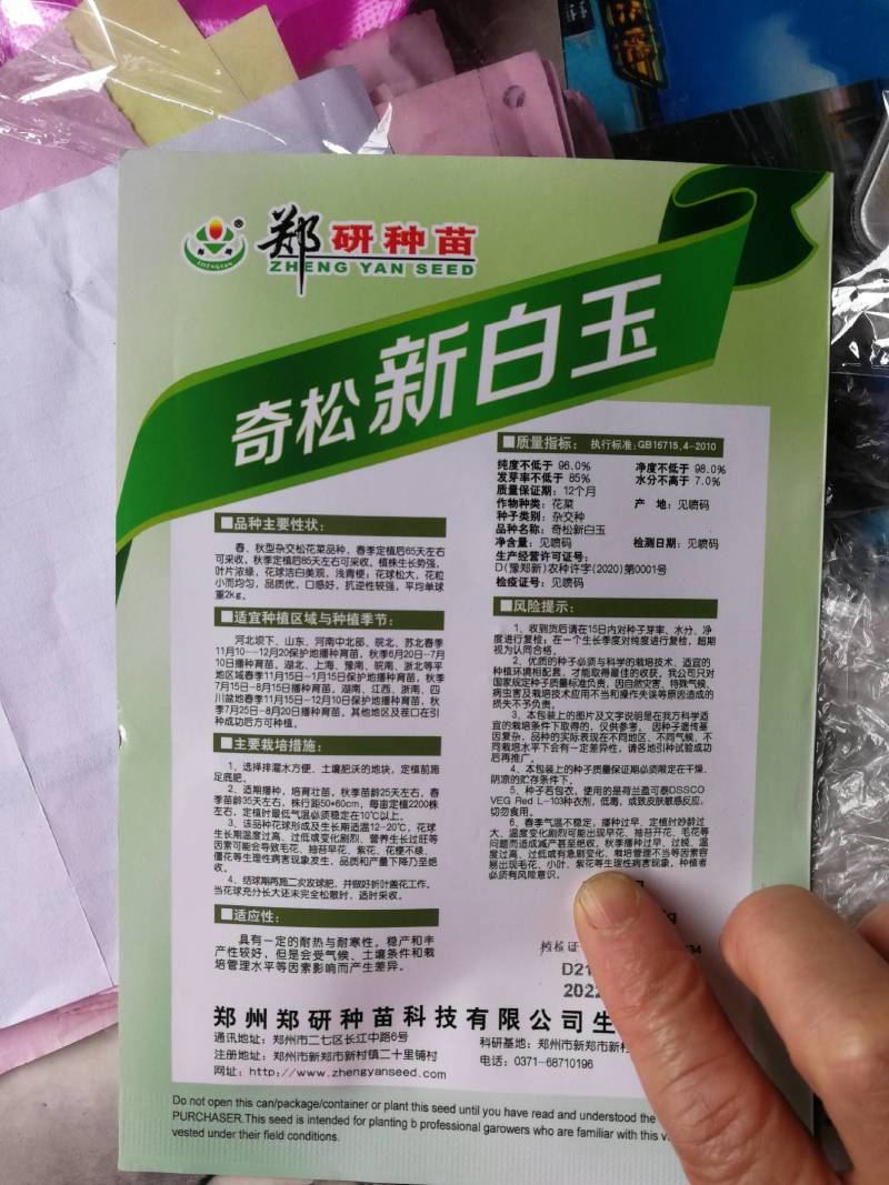杂交松花菜品种生长势强花球洁白美观，浅青梗花球松大。