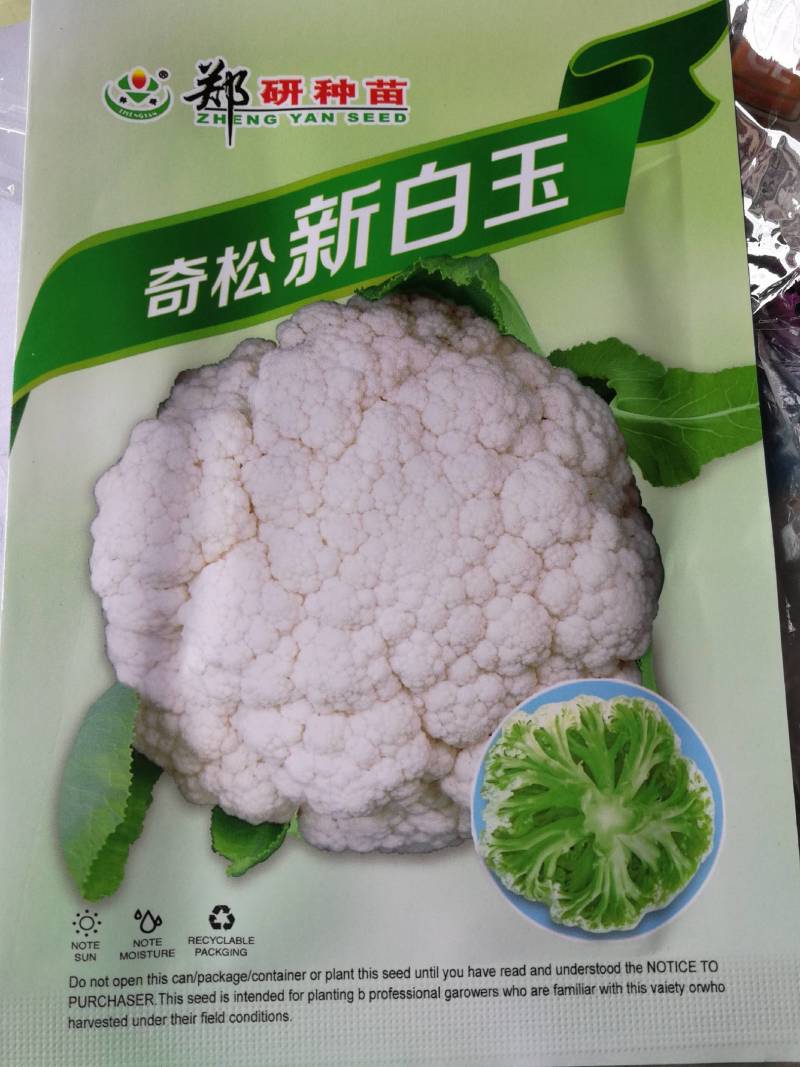 杂交松花菜品种生长势强花球洁白美观，浅青梗花球松大。
