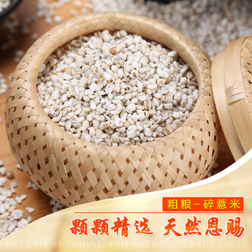 碎薏米现货供应薏米食品加工酿酒磨粉袋装50斤