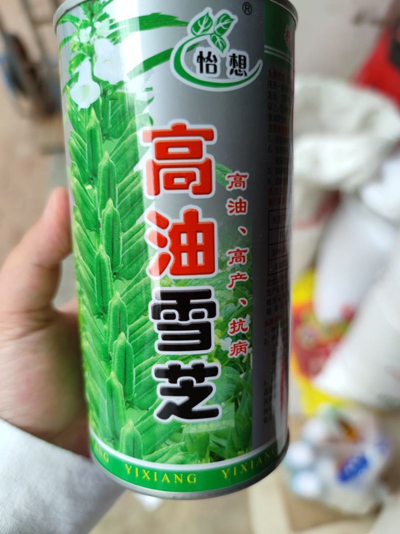 高油雪芝白芝麻种子，200克