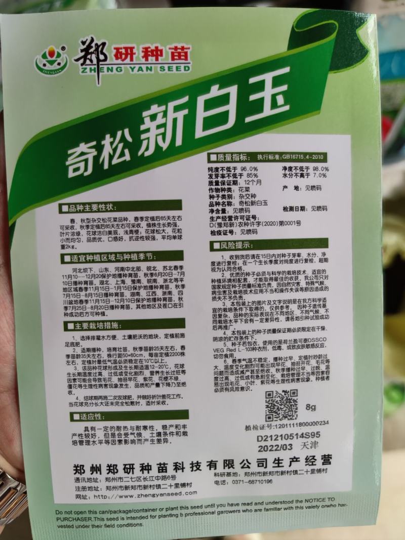 奇松新白玉松花菜种子，8克，单球重2千克