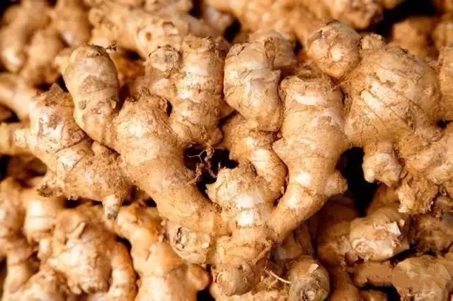 生姜切片的高清特写照片,展示其纤维结构和颜色层次 生姜切片特写图