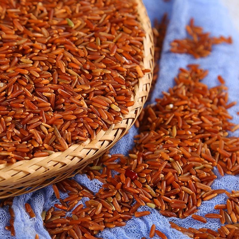 红米红大米红稻米现货充足梗米五谷杂粮袋装50斤
