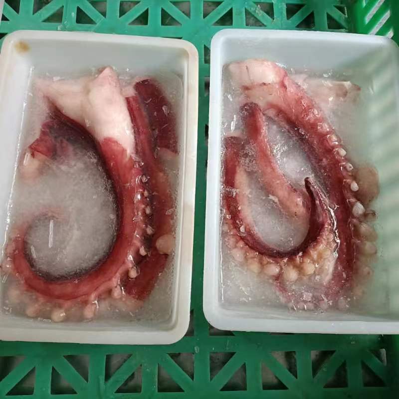 脆口须脆口章鱼须鱿鱼须