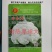 珍玉50耐热菜花种子抗病抗逆性强早熟2包一亩地商品性好