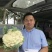 珍玉50耐热菜花种子抗病抗逆性强早熟2包一亩地商品性好