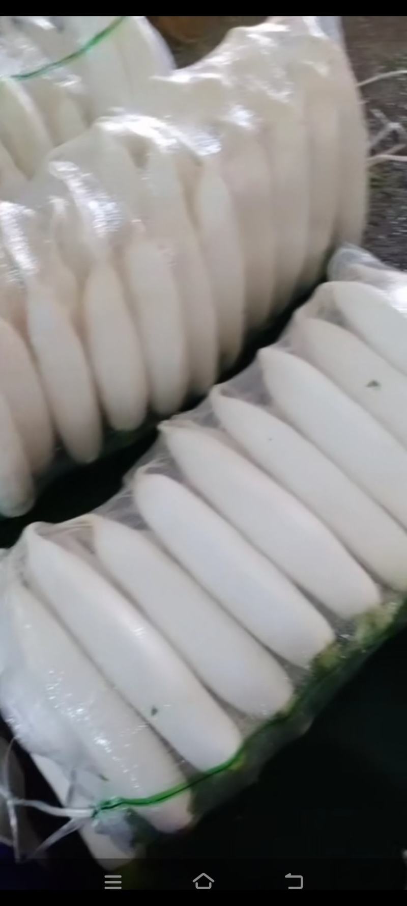 白萝卜，四排，