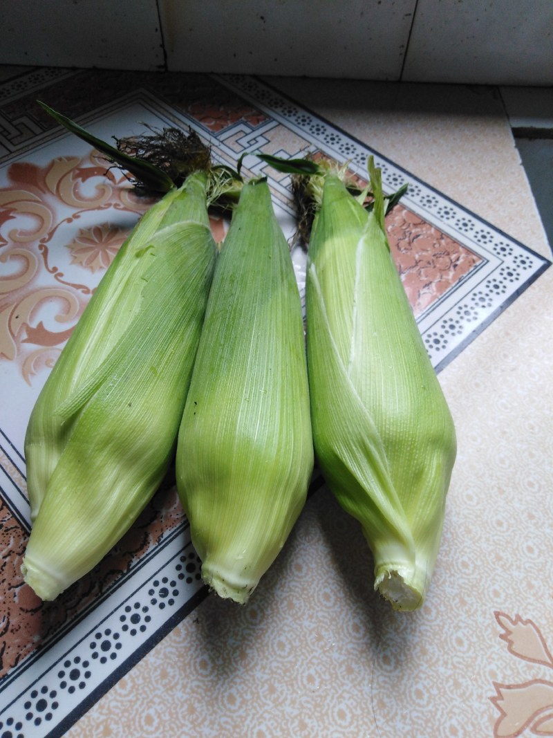 （热销）万糯玉米