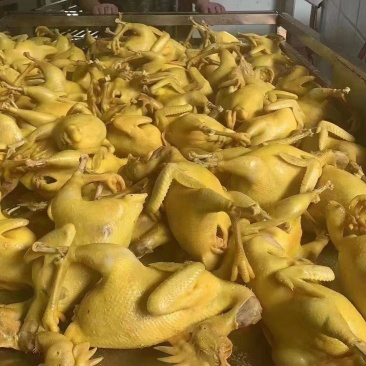 盐焗鸡腿鸡翅全鸡卤菜店一手货源地摊鸡尖卤鸡肉