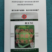 墨玉50耐热甘蓝种子叶色翠绿菜重1~2公斤扁球型产量高商