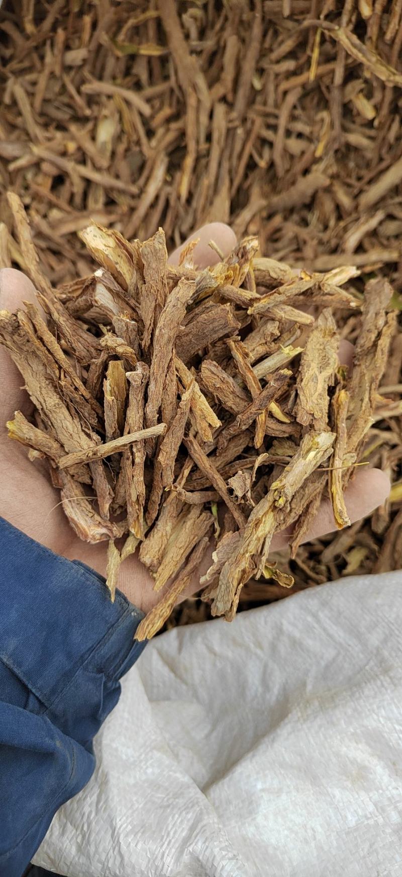 地骨皮，甘肃产地，常年供应，恢份低