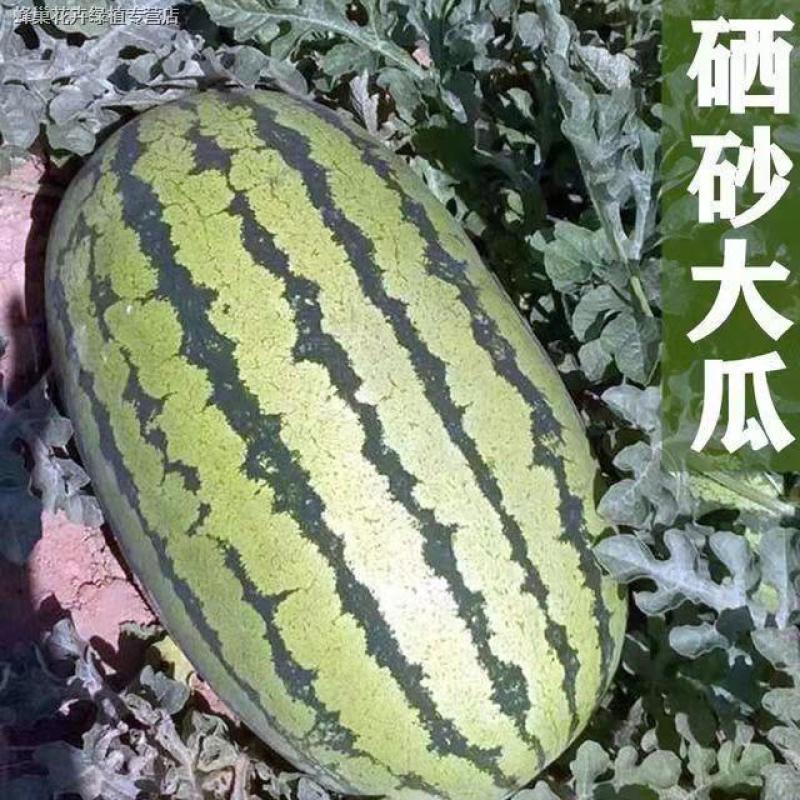【全国发货】精品硒砂瓜甜度高水分足10斤打底个头大