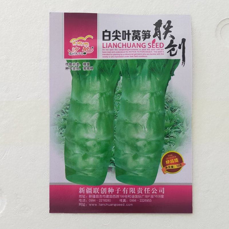 白尖叶莴芛种子进囗品质先端圆形营养价值高亩产5000斤