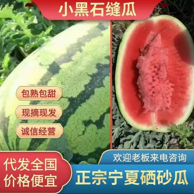 【全国发货】精品宁夏香山硒砂瓜～大量供应一手货源耐运