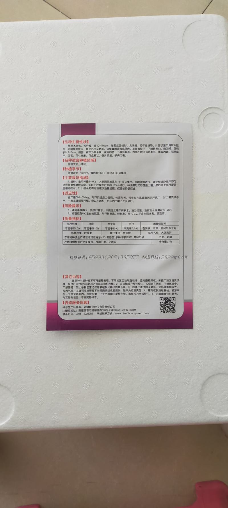 大叶荆芥种子抗病强烈高，口感好，经济效益好，商品性强