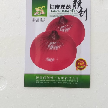 红皮洋葱种子外皮红色耐寒性强中晚熟易管理商品性强囗感好