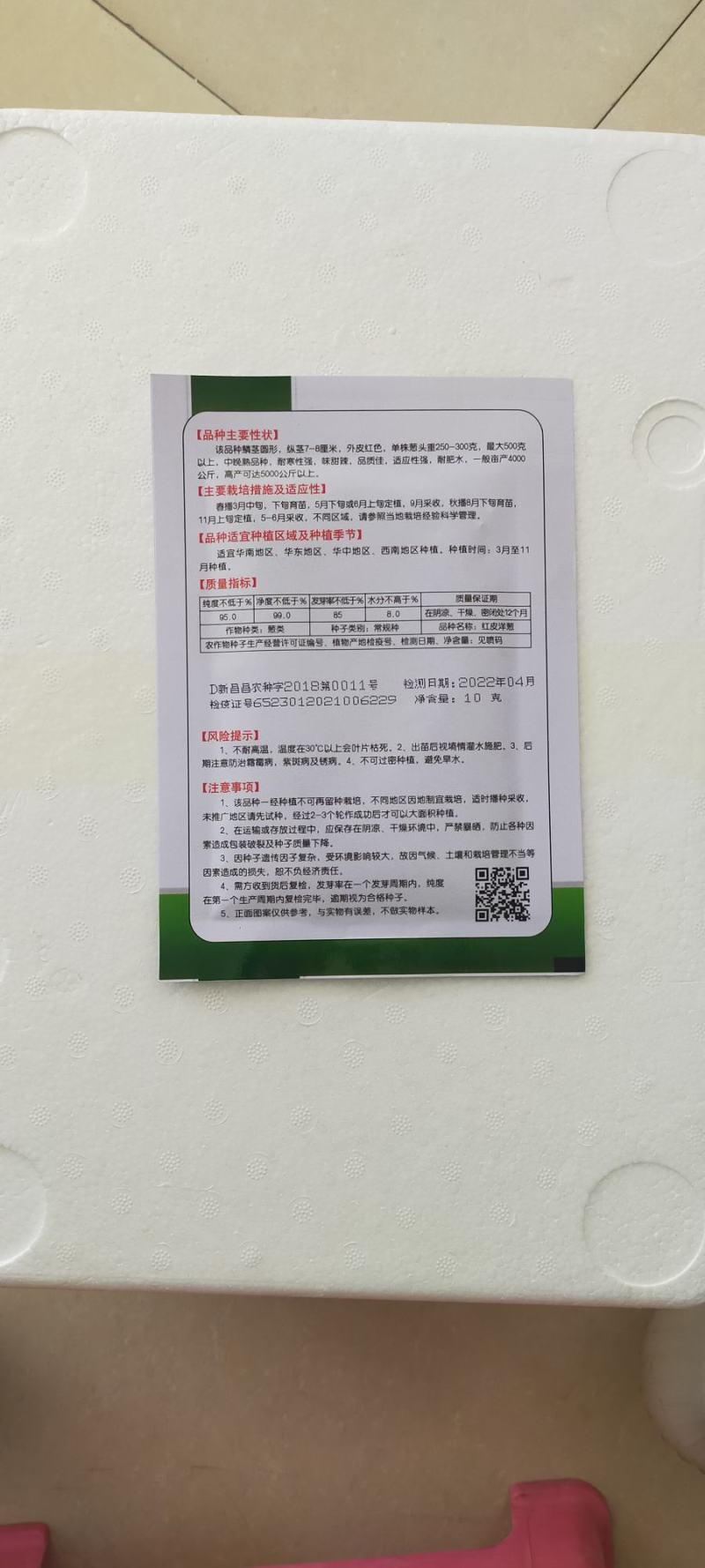 红皮洋葱种子外皮红色耐寒性强中晚熟易管理商品性强囗感好