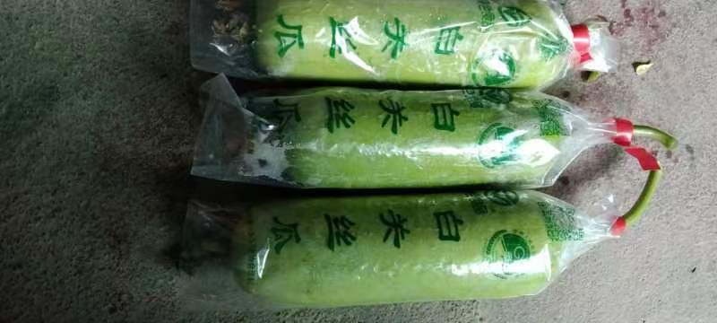 湖南株洲白关丝瓜地理标志正式上市