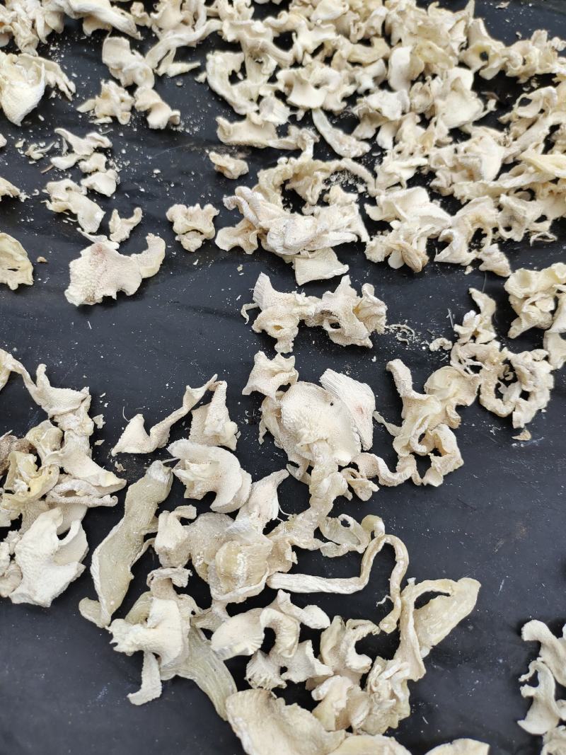 楠竹笋玉兰片毛笋切片笋火锅笋笋片