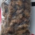 河南焦作水洗无硫怀地黄大量供应