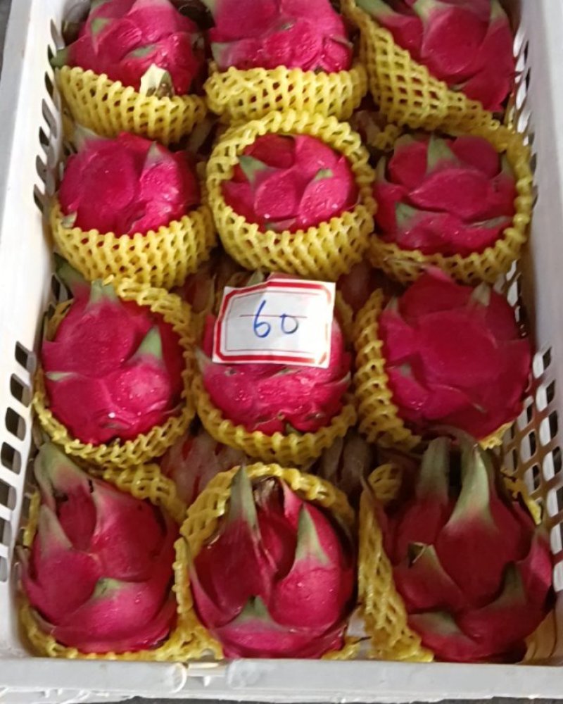 火龙果