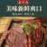 正宗内蒙古五香酱牛肉黄牛腱腿肉健身卤味即食熟牛肉真空包装