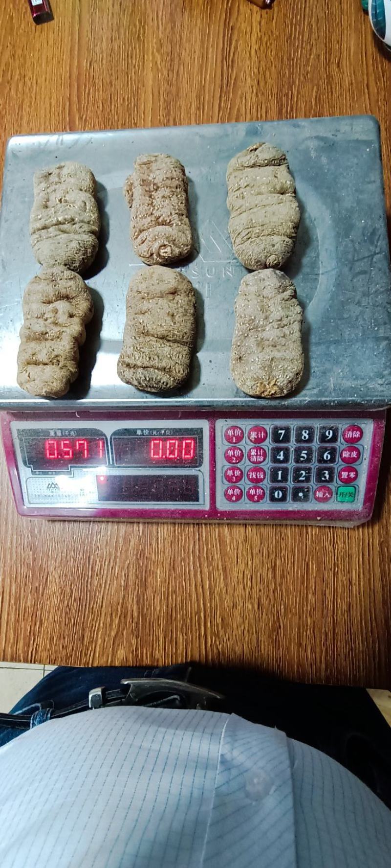 广西猫儿山野生态乌天麻，纯无硫，无添加，断面透亮品质高