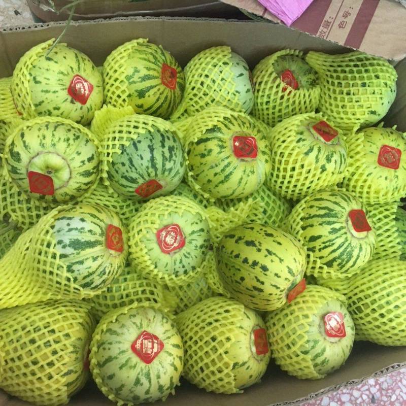 花蕾甜瓜全国发货基地直供诚信经营货源充足