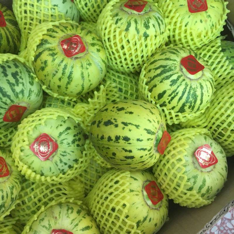 花蕾甜瓜全国发货基地直供诚信经营货源充足
