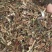 薄荷色香味浓中药材批发薄荷量大从优质量保证