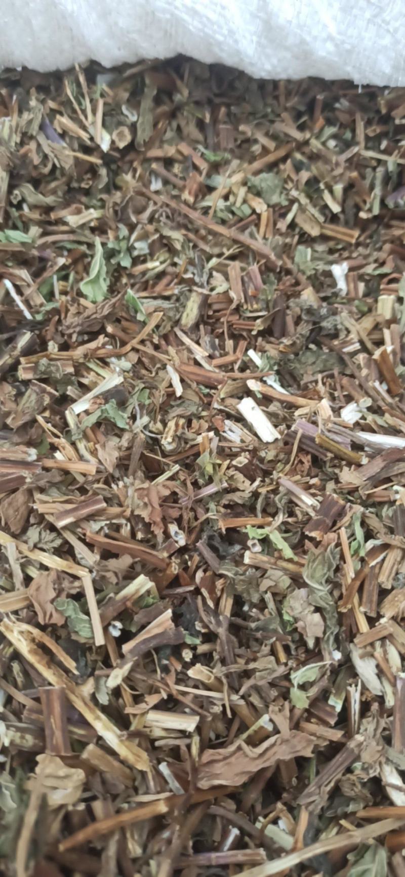薄荷色香味浓中药材批发薄荷量大从优质量保证
