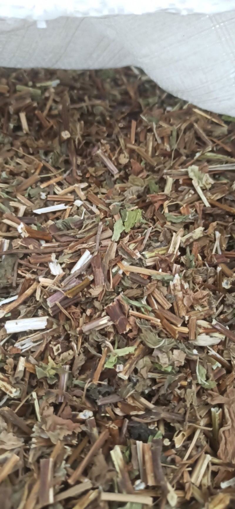 薄荷色香味浓中药材批发薄荷量大从优质量保证