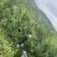 贵州六马青脆李