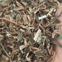 薄荷色香味浓中药材批发薄荷量大从优质量保证