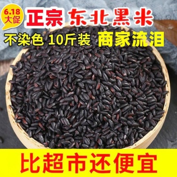 东北黑米新米5/10斤批发袋装精选无染色黑糙米黑米饭