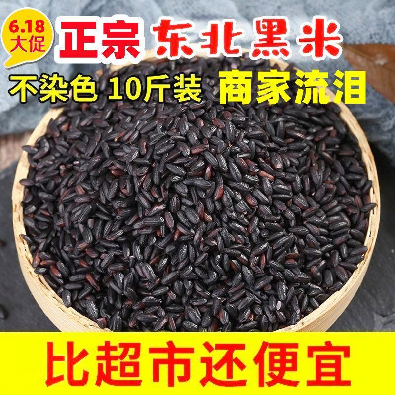 东北黑米新米5/10斤批发袋装精选无染色黑糙米黑米饭