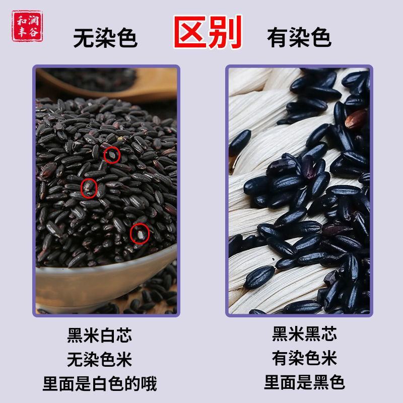 东北黑米新米5/10斤批发袋装精选无染色黑糙米黑米饭