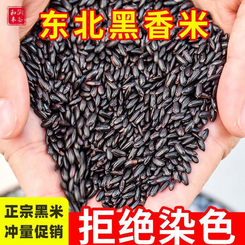东北黑米新米5/10斤批发袋装精选无染色黑糙米黑米饭