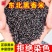 东北黑米新米5/10斤批发袋装精选无染色黑糙米黑米饭