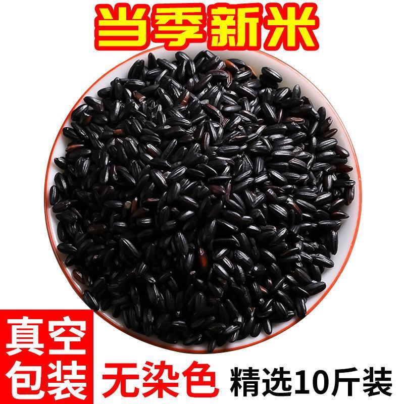 东北黑米新米5/10斤批发袋装精选无染色黑糙米黑米饭