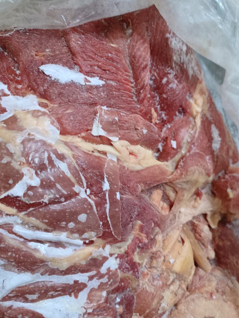 黄膘羊肉羊肉9一斤大量现货支持样品