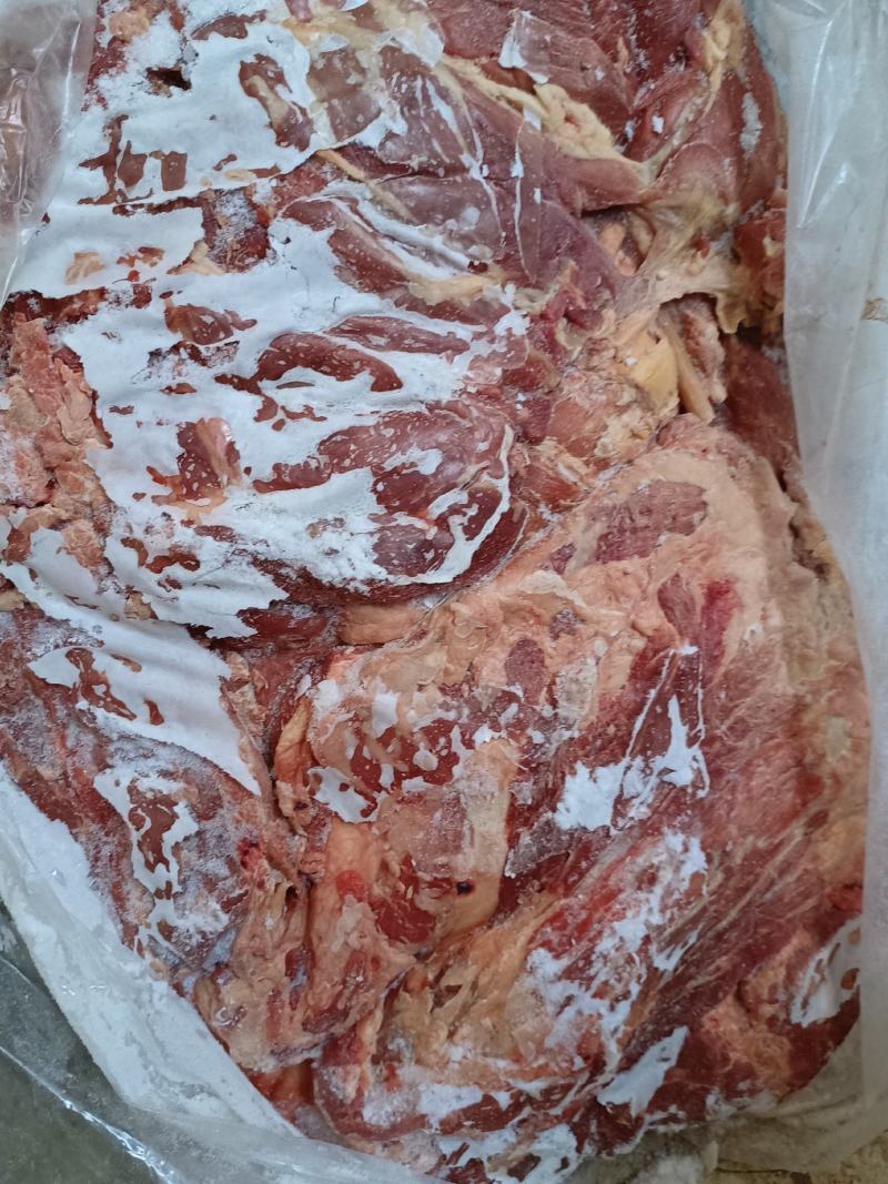 黄膘羊肉羊肉9一斤大量现货支持样品