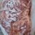 黄膘羊肉羊肉9一斤大量现货支持样品