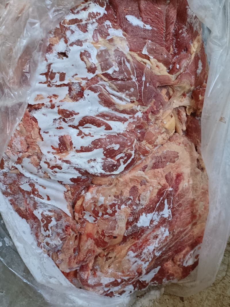黄膘羊肉羊肉9一斤大量现货支持样品