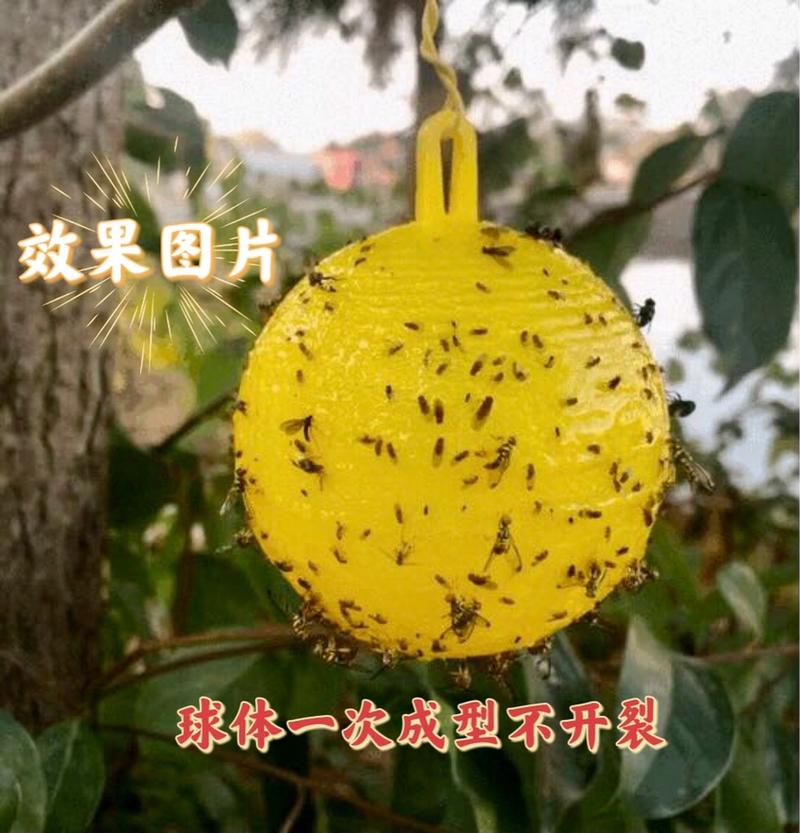 诱蝇球用于柑桔大小实蝇果蝇针蜂瓜实蝇萤火虫等飞虫